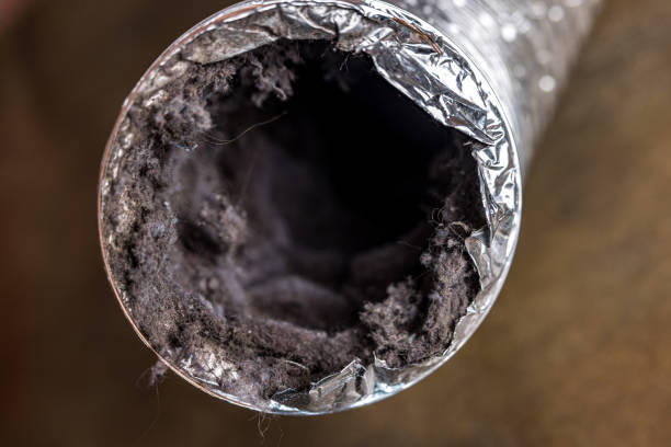 Best Air Duct Cleaning Company Near Me  in Clyde, NY